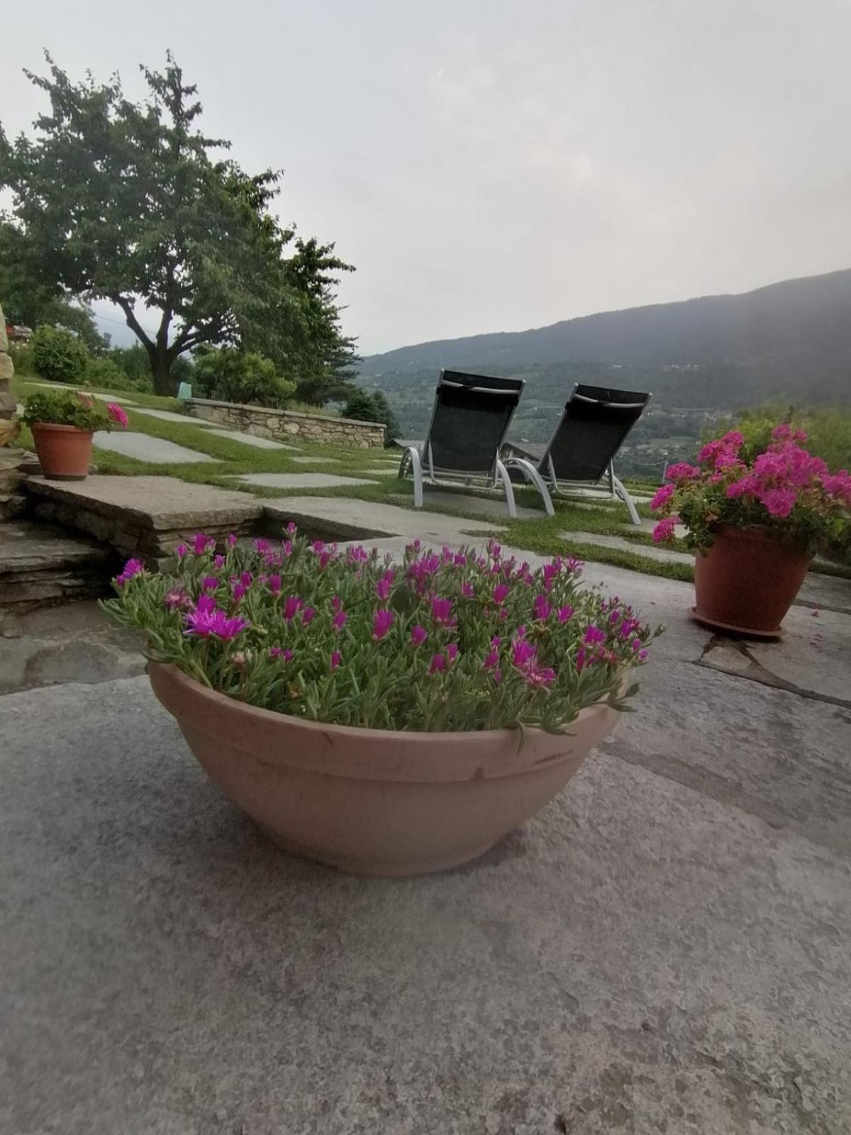 Mini House Valle D'Aosta Roisan 外观 照片